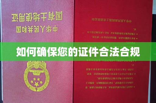 温宿如何确保您的证件合法合规