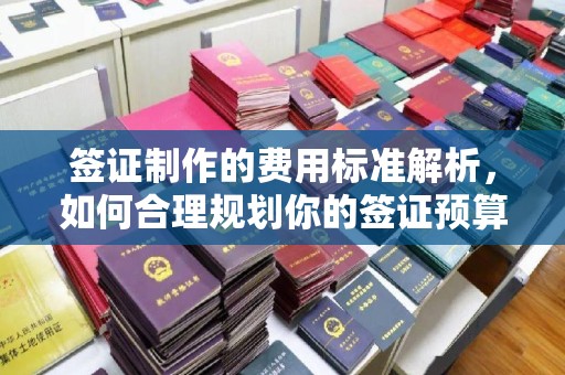 温宿签证制作的费用标准解析，如何合理规划你的签证预算