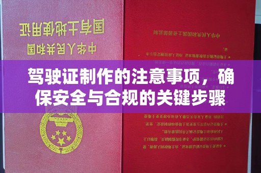 温宿驾驶证制作的注意事项，确保安全与合规的关键步骤