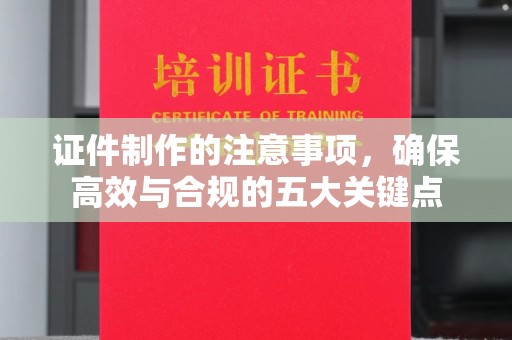温宿证件制作的注意事项，确保高效与合规的五大关键点