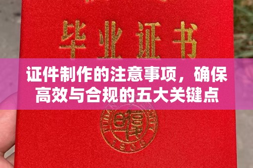温宿证件制作的注意事项，确保高效与合规的五大关键点