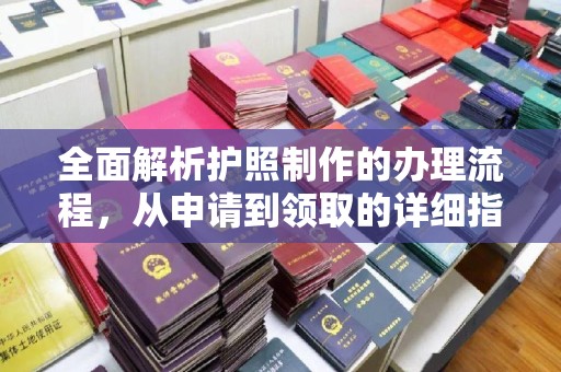 温宿全面解析护照制作的办理流程，从申请到领取的详细指南