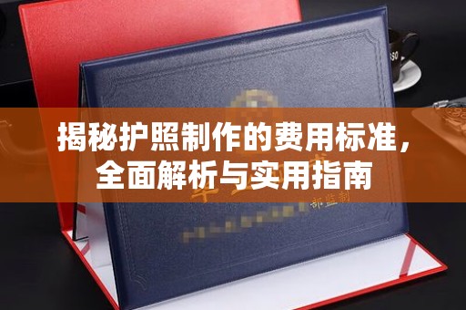 温宿揭秘护照制作的费用标准，全面解析与实用指南