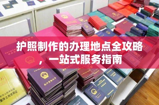 温宿护照制作的办理地点全攻略，一站式服务指南