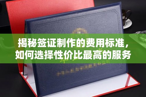 温宿揭秘签证制作的费用标准，如何选择性价比最高的服务？