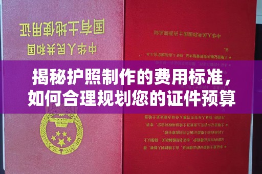 温宿揭秘护照制作的费用标准，如何合理规划您的证件预算？